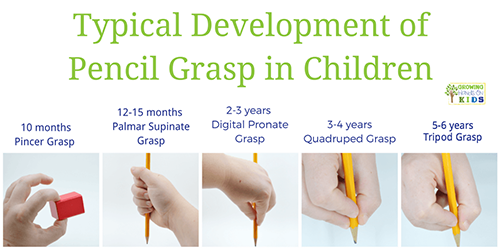 kindergarten pencil grips kindergarten pencil grips