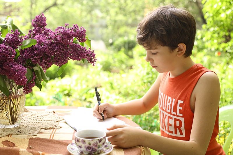 Why summer homework is bad Why summer homework is bad image
